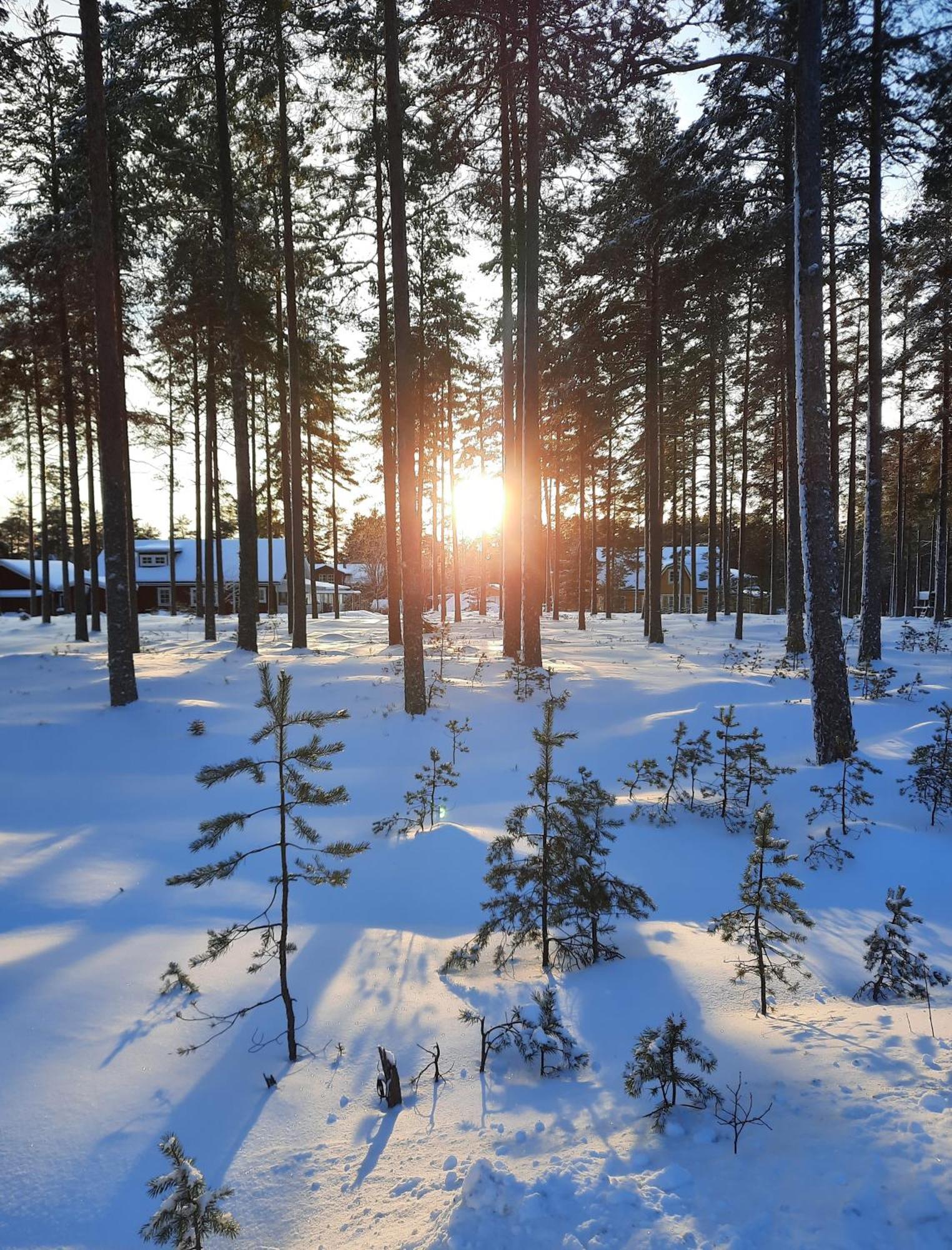 Charmigt Hus Och Mysigt Boende! Hudiksvall Exteriör bild